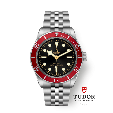 TUDOR BLACK BAY ACIER 41.00...