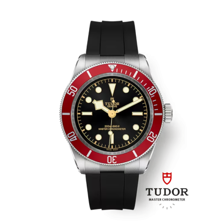 TUDOR BLACK BAY ACIER 41.00...