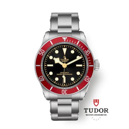 TUDOR BLACK BAY ACIER 41.00...